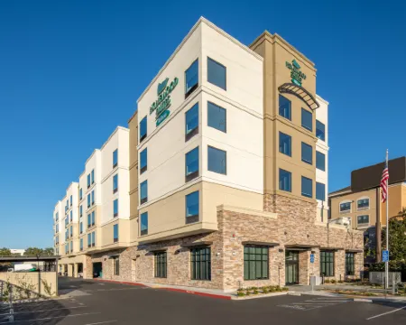 Homewood Suites by Hilton Belmont Hotels in Belmont