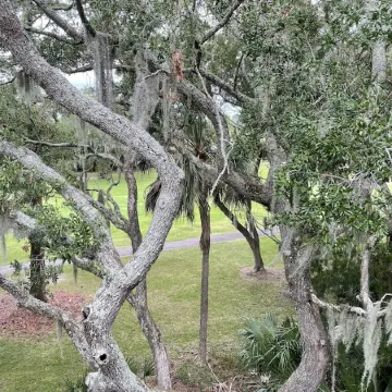 Loft-e-Lagoon -No Cleaning fee-Grated community-2 minute to the beach