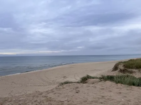 Nature, Parks and Beaches! Right in between Holland and Grand Haven.