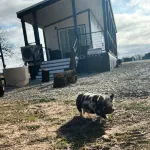Texoma Getaway - Tiny House on a Cannabis Farm