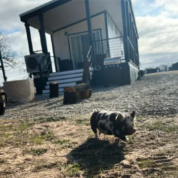 Texoma Getaway - Tiny House on a Cannabis Farm