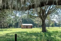 Lemonade Acres, Where Horses Stay for Free!