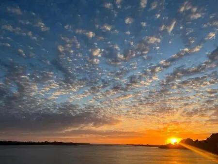 Top Deck on the Rogue