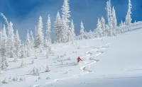 Winter Wonderland at Zion's Bryce House by Zion and Bryce National Parks!