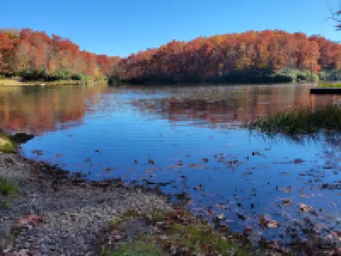 Get 'WilderMcFaddenRidge mins from New River Gorge Nat'l Park w/hot tub!