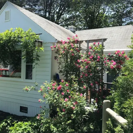 Awesome location downtown. Walk to the beach, marginal way