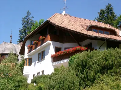 Beautiful attic apartment - Free WIFI Hotels near Rasciesa