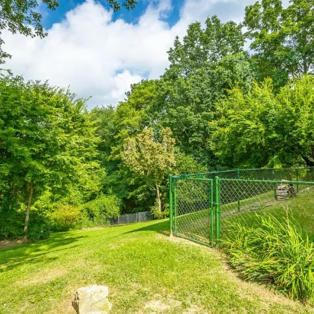 Lookout Mtn View! STEAM Shower, Fenced Yard 🐶⛰️