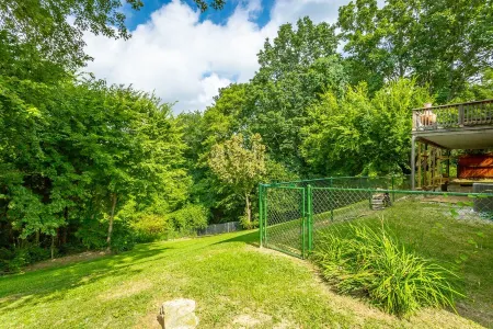 Lookout Mtn View! STEAM Shower, Fenced Yard 🐶⛰️