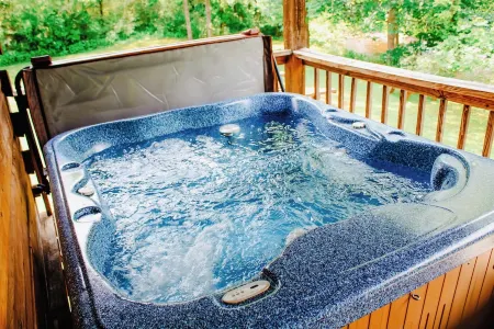 'Sweet Life'  *Log Cabin on Cosby Creek with Wifi No contact check in