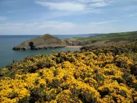 Stunning Barn Conversion in a beautiful rural setting Hotels in Boncath