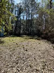 Cozy coastal oasis w/ wooded views and wrap around deck. Close to Dauphin Island - Beach