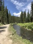 White Pine Luxury Lodge