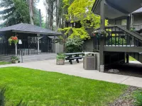 Marina Cay Condo near Flathead Lake Hotels in Bigfork