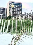 Couples Escape- Stunning Oceanfront Views -Quiet Prime Location Hotels in 