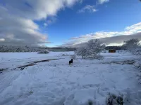 Spacious Suite in a Farm Setting-20  Mins to the Ocean-#2-Abbott Brook Inn