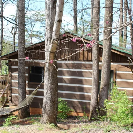 Peaceful, extremely clean Treehouse  cottage 10 min. from National Park entrance