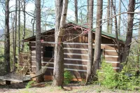 Peaceful, extremely clean Treehouse  cottage 10 min. from National Park entrance