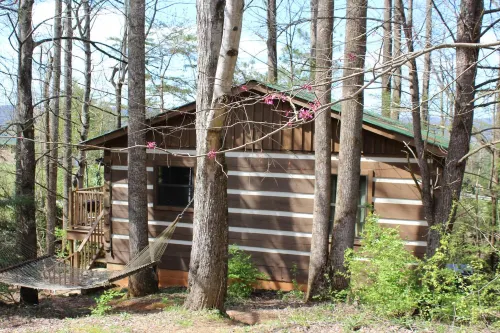 Peaceful, extremely clean Treehouse  cottage 10 min. from National Park entrance