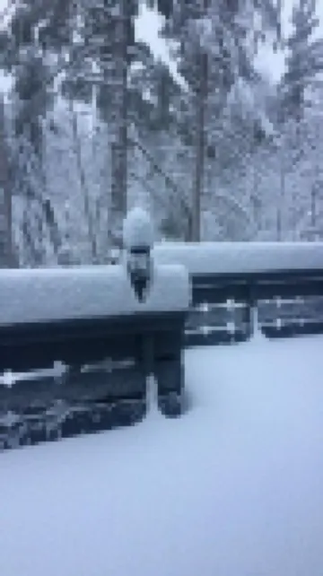 Private hiking trail. Enjoy the ADK splendor. Pet Friendly. Ranch Home. WiFi