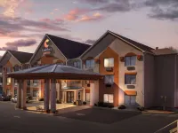 Comfort Suites Northside Hospital Gwinnett Hotels in Lawrenceville