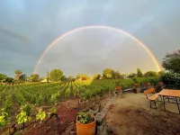 Spacious modernized 5-bedroom farmhouse on vineyard فنادق في Oakley