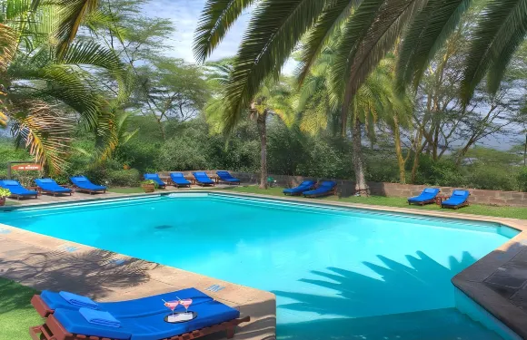 薩羅瓦獅子山野生山林小屋