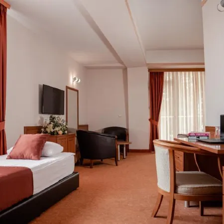 Hotel Drim