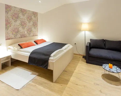Apartments SHISHKA Hotels in Siska District