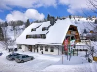 Hotel & Restaurant Grüner Baum - Die Grüne Oase am Feldberg Hotels in Feldberg