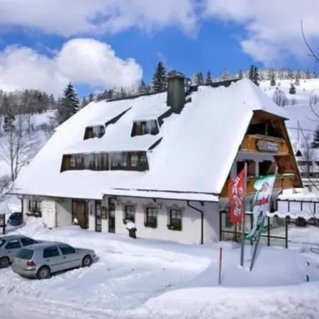 Hotel & Restaurant Grüner Baum - Die Grüne Oase am Feldberg