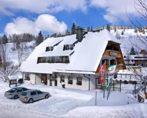 Hotel & Restaurant Grüner Baum - Die Grüne Oase am Feldberg Hotels in Feldberg