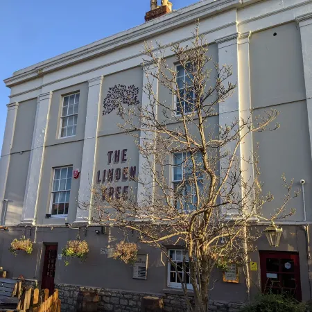 Linden Tree