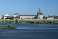 Fleur de Loire