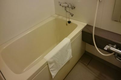 その他 シーサイドホテルツインズももちの写真