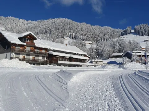 Chalet in Sibratsgfäll Near Ski Slopes Hotels in 
