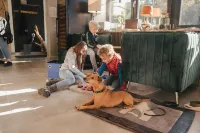 Schlosshotel Brilon-Wald - Hostel