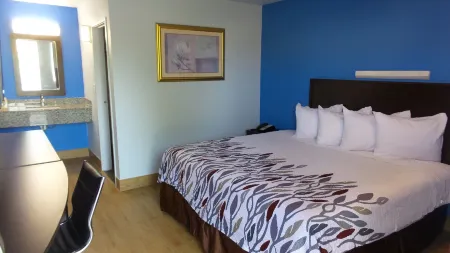 Budget Inn Alexandria Отели в г. Вудворт