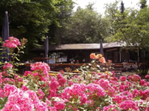 Hotel Bitburg Hoteles en Bitburgo