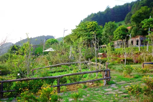 Van Ho Ecolodge - Homestays