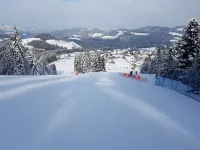 Apartmaji Koželj Hotels in Ribnica na Pohorju