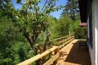 Hellaberg house rental - Rest and relaxation in the Thuringian Forest Hotels in Schleusegrund