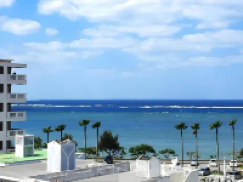 미스터 긴조 인 알라하 스타일