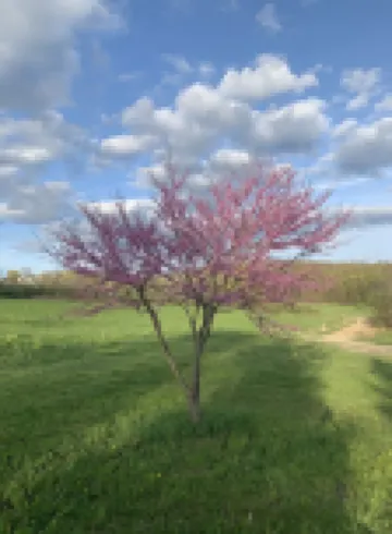 Private Trout Pond Retreat. Near Seneca Lake Wine Trails & Watkins Glen