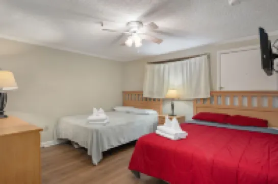 Ski-in/Ski-Out Access and Breathtaking Views - Luxurious Alpine Escape