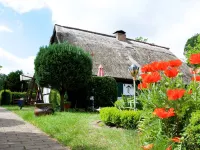 Sleep under a Thatched Roof - Apartment in Ahlbeck Near Haff