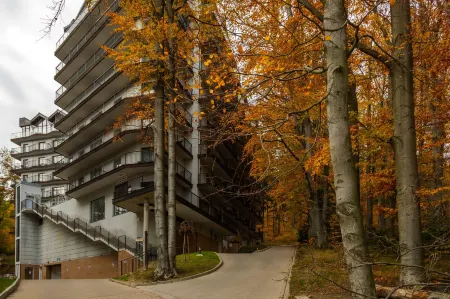 RentPlanet - Apartamenty Górna Resorts Отели рядом с достопримечательностью «Czarna Góra»