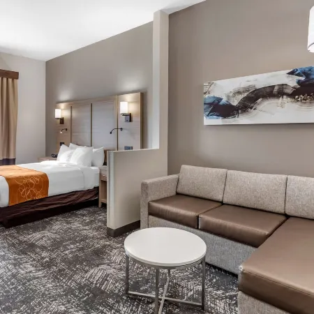 Comfort Suites Anderson-Clemson Отели в г. Андерсон