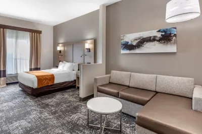 Comfort Suites Anderson-Clemson Hotels in Anderson County