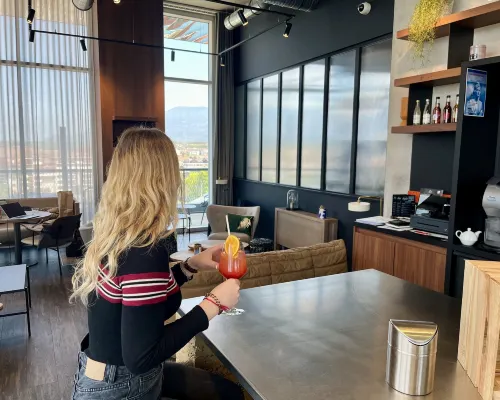 阿訥馬斯中心日內瓦港諾富特 公共區域 Photos